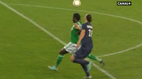681990624_zlatan-ruffier