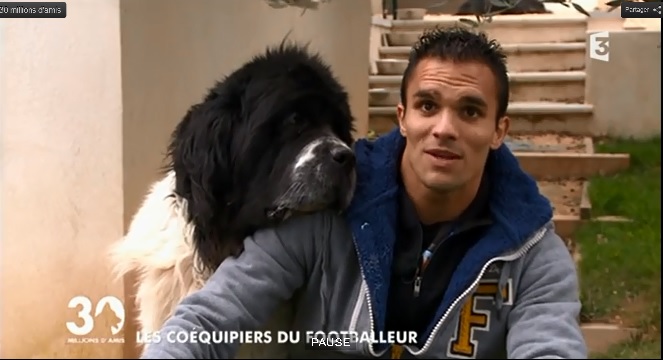 Morel et Terre-Neuve