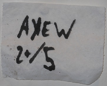 Ayew