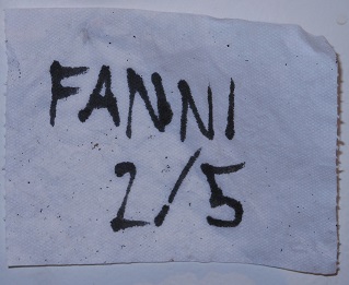 Fanni