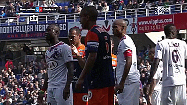 GIF 5