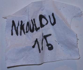 Nkoulou