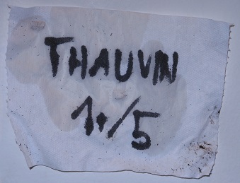Thauvin