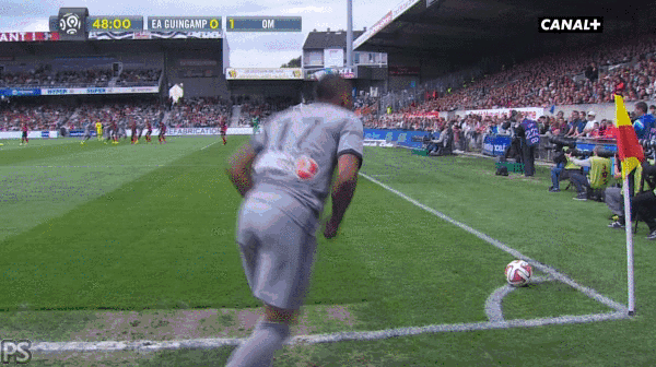 AnguishedCharmingIbizanhound