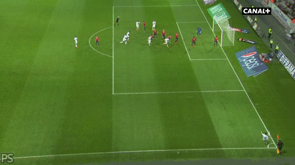 DizzyMedicalClownanemonefish