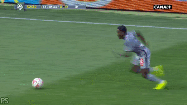 ImpeccableImpeccableGar